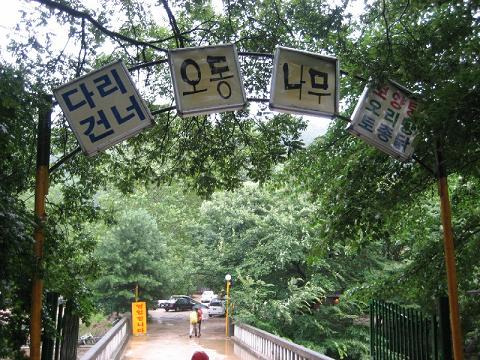 오동나무주유소 이미지