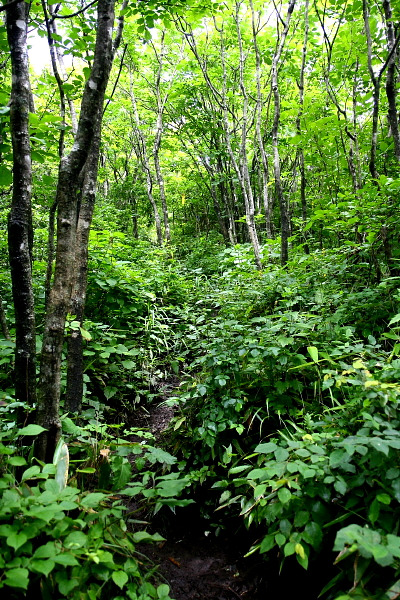 �̹����� Ŭ���ϸ� ������ ���� �� �ֽ��ϴ�.