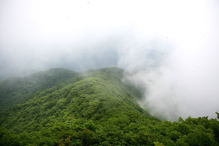 �̹����� Ŭ���ϸ� ������ ���� �� �ֽ��ϴ�.