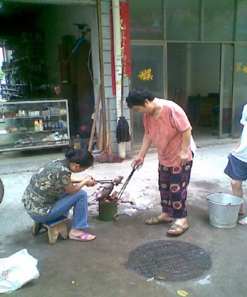  - 중국의 즉석 강아지 구이 : 이미지를 클릭하면 원본을 보실 수 있습니다.