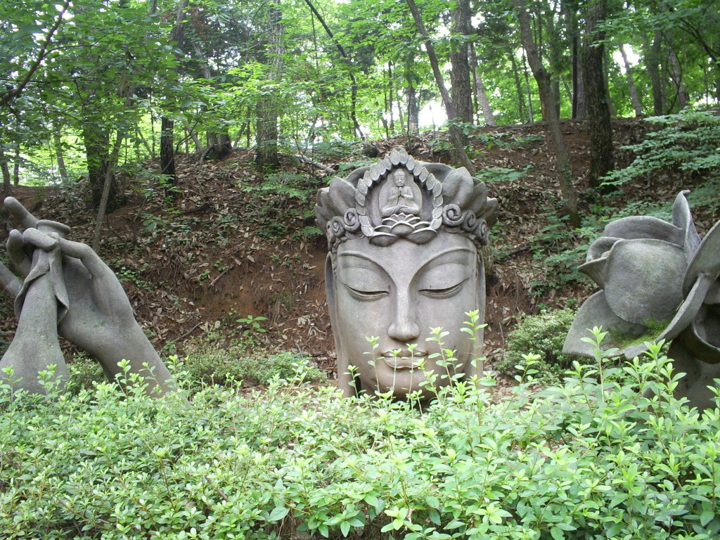이미지를 클릭하면 원본을 보실 수 있습니다.