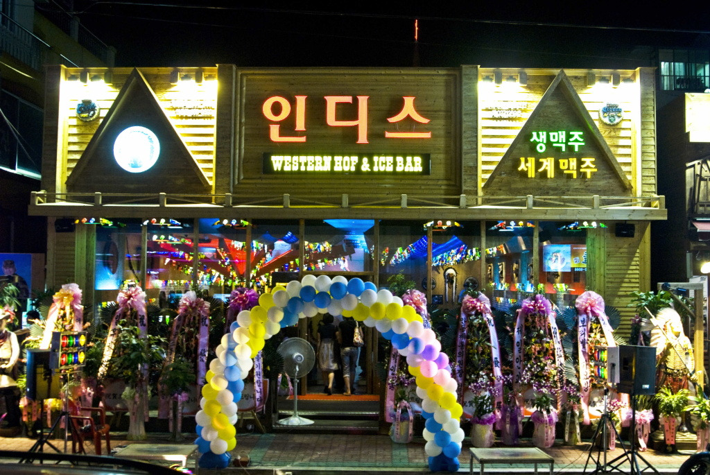 인디스 이미지
