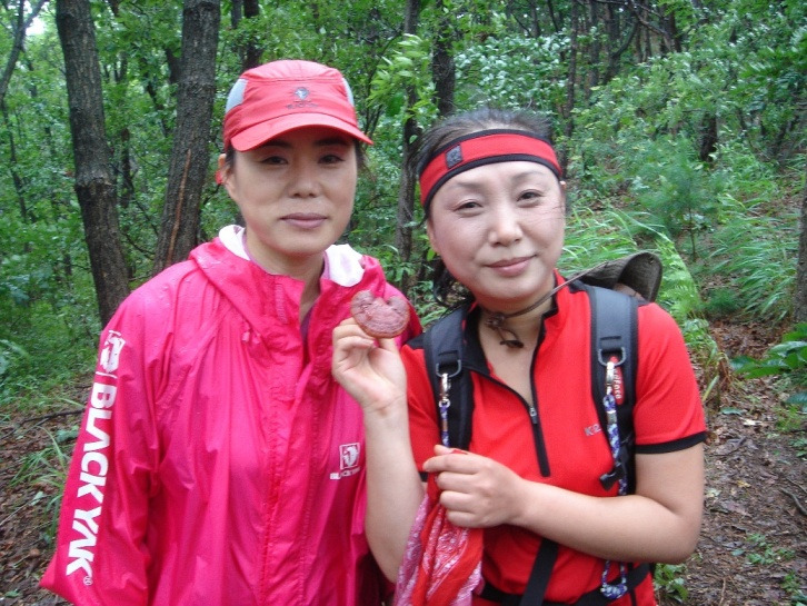 �̹����� Ŭ���ϸ� ������ ���� �� �ֽ��ϴ�.