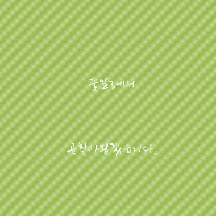 아리세 이미지