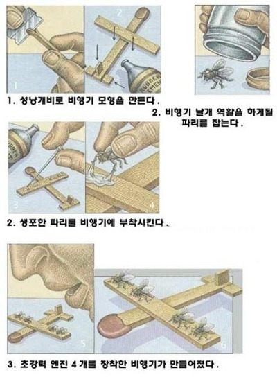 이러케 이미지
