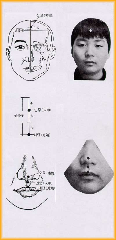 요유 이미지